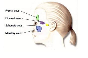 hearing loss treatment henderson|Dr. Randall Weingarten, MD .